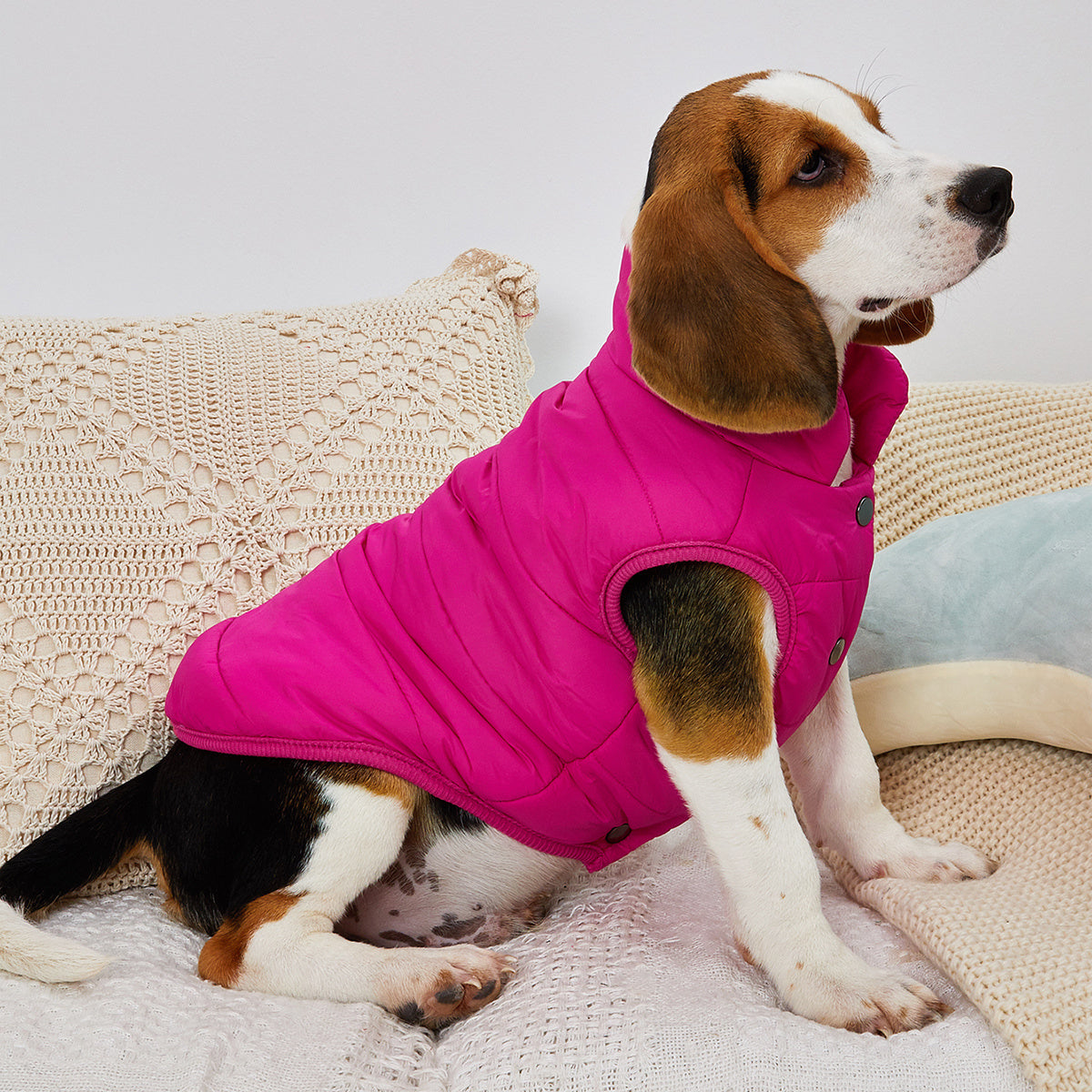 1pc Solid Color Dog Winter Warm Coat Thickened Padded Pet Jacket Soft Comfortable Dog Clothes For Cold Weather
