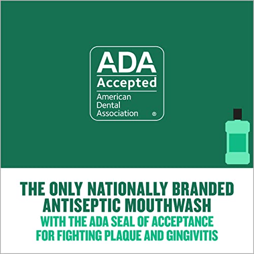 Listerine Freshburst Antiseptic Mouthwash for Bad Breath, Kills 99% of Germs That Cause Bad Breath & Fight Plaque & Gingivitis, ADA Accepted Mouthwash, Spearmint, 1 L, Pack of 2