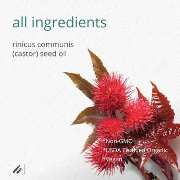 moofin Home Health Castor Oil Cold Pressed, 8 Fl Oz Wooden Comb - Castor Oil Hexane Free, Pure Castor Oil for Hair Growth and Skin, Natural, Paraben-Free, Ideal for All Hair Types (Pack of 2)