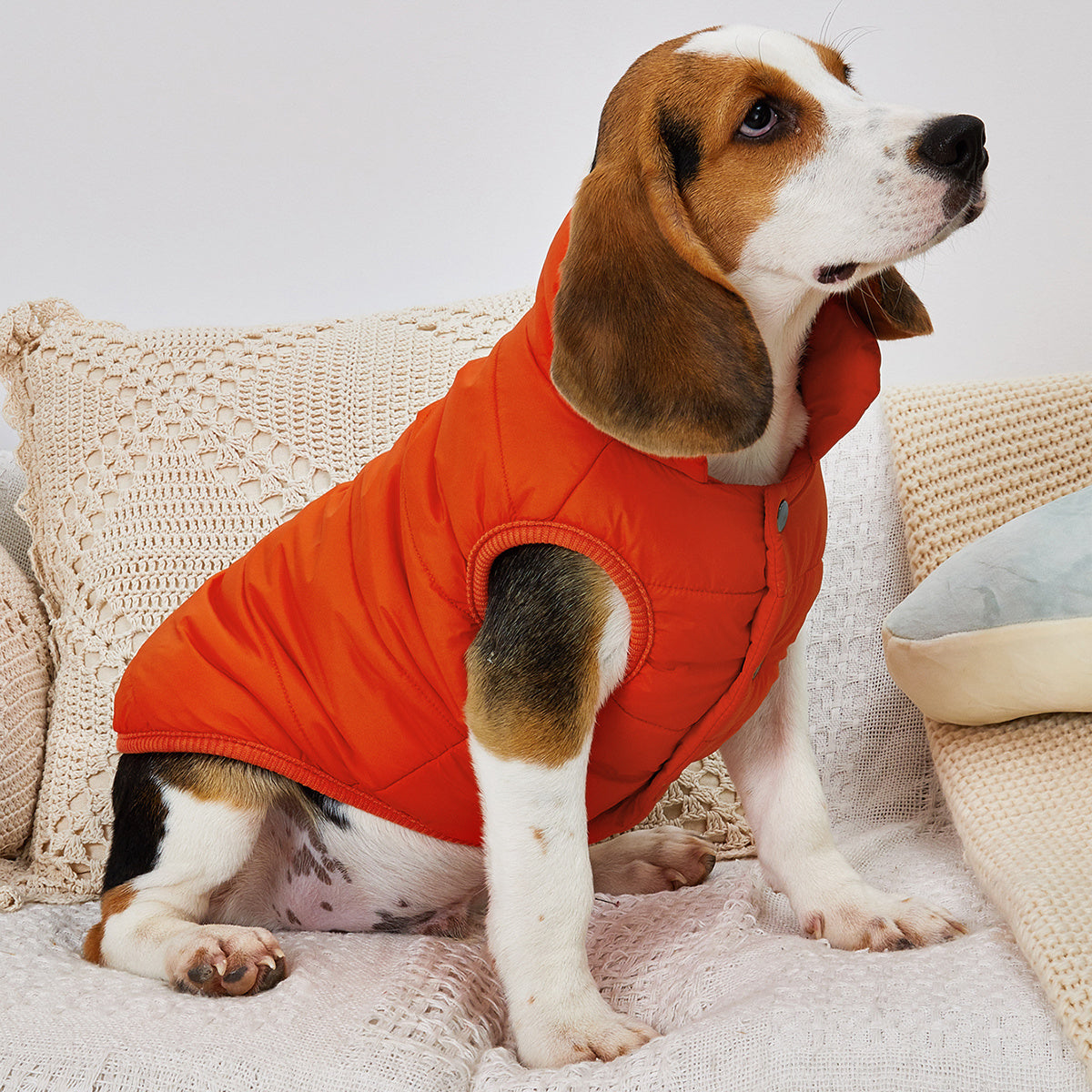 1pc Solid Color Dog Winter Warm Coat Thickened Padded Pet Jacket Soft Comfortable Dog Clothes For Cold Weather