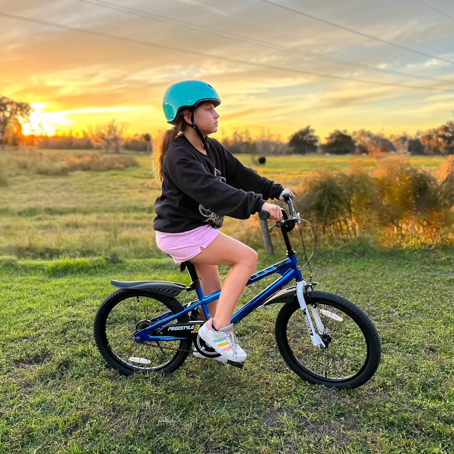 RoyalBaby Freestyle Kids Bike 20 Inch Wheel Bicycle Teens BMX with Dual Hand Brakes Kickstand Boys Girls Ages 6-10 Years, Blue