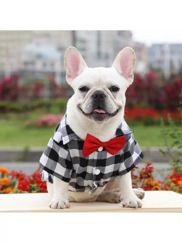 Dog Gingham Shirt Suit Wedding Dress Jarre Aero Bull Pug Small, Medium and Large Dogs Pet Clothes Cat Supplies