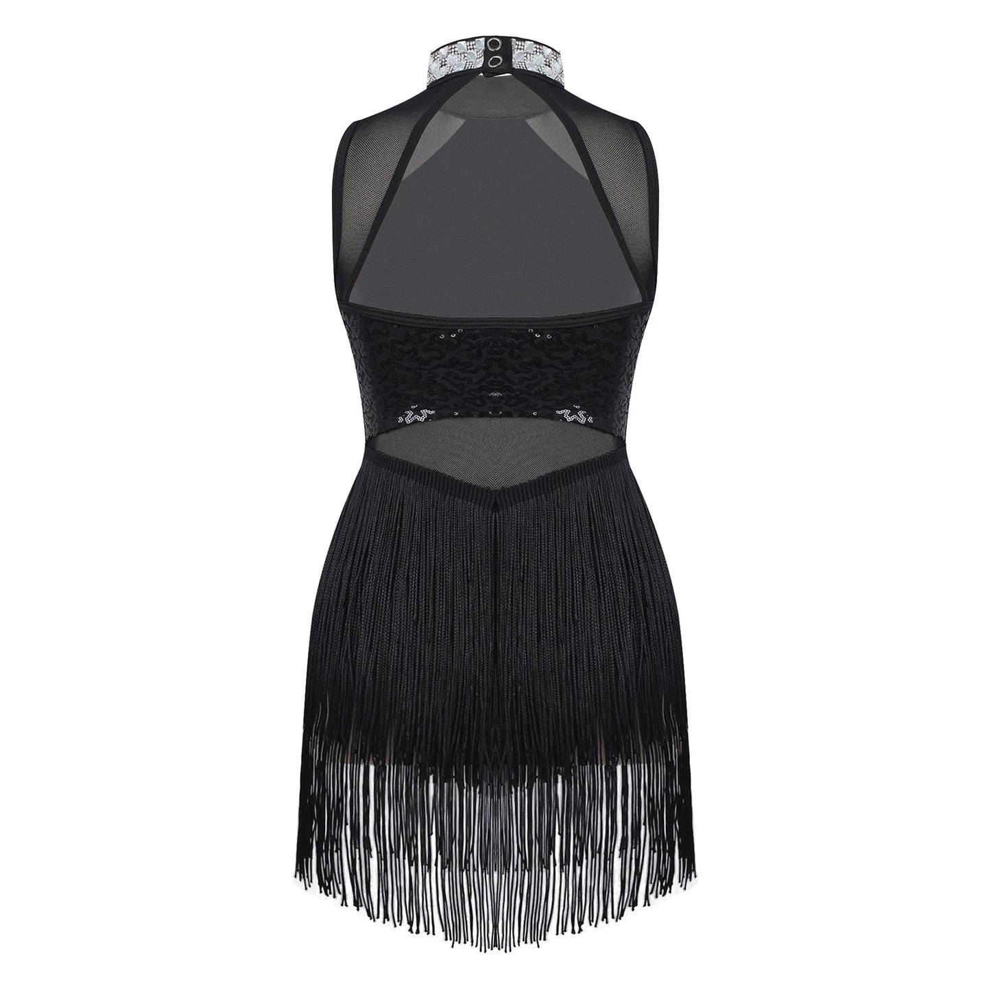 Girls Shiny Rhinestone Jazz Ballet Dance Dress Decorated Collar Sequins Mesh Tassel Hem Dance Leotards Dance Performance Dress