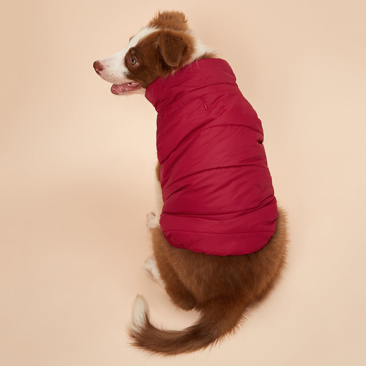 1pc Solid Color Dog Winter Warm Coat Thickened Padded Pet Jacket Soft Comfortable Dog Clothes For Cold Weather