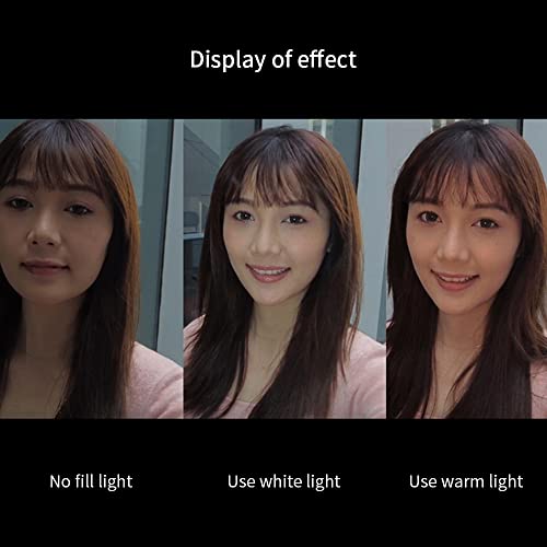 MAXCAM Bi-Color LED Video Light on Camera Accessories Kit Bundle Includes LED Fill Light + Phone Clip + Tripod, Lighting Duration 2 Hours, Dimmable 3200K-6700K and Brightness 1080 lumens