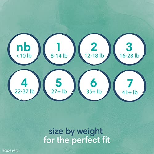 Pampers Pure Protection Diapers - Size 3, 66 Count, Hypoallergenic Premium Disposable Baby Diapers