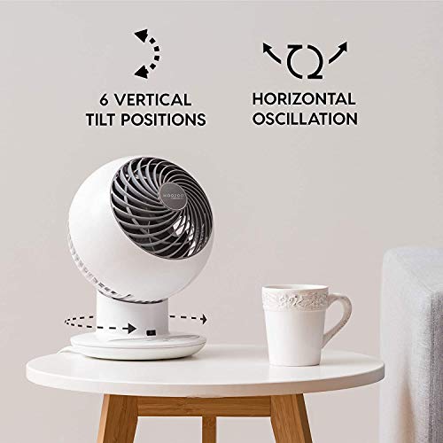 Woozoo 5-speed Globe Fan 5 Year Warranty 1Count