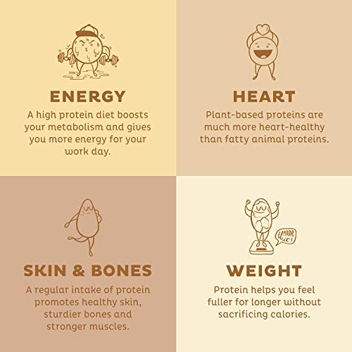 KOS Vegan Protein Powder Erythritol Free, Vanilla USDA Organic - Pea Protein Blend, Plant Based Superfood Rich in Vitamins & Minerals - Keto, Dairy Free - Meal Replacement for Women & Men, 28 Servings