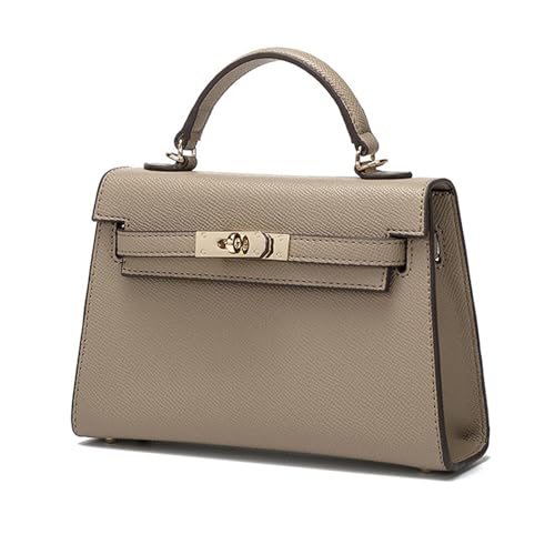 Womens Mini Leather Satchel Bags 9 * 2.5 * 5.5in Shoulder Purses Top Handle Handbags Ladies Designer Purses (Grey)