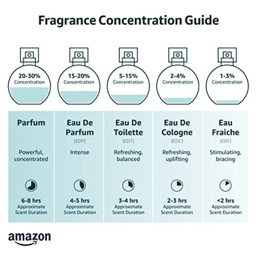 Versace 8011003843770 Dylan Blue By for Women - 3 Pc Gift Set 1.7oz Edp Spray, 1.7oz Shower Gel, 1.7oz Body Lotion, 3 count, Gold