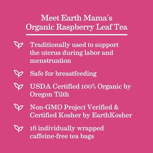 Earth Mama Organic Raspberry Leaf Tea Bags | Labor Tonic & Menstrual Support Herbal Tea, Red Raspberry Leaf Tea for Pregnancy & Postpartum Care Recovery, Caffeine Free Tea, Non GMO, (16 Teabags, 3-Pk)