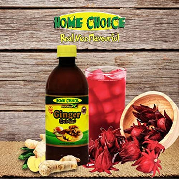 (2 Pack) Home Choice Jamaican Ginger Extract Flavoring, 16 oz