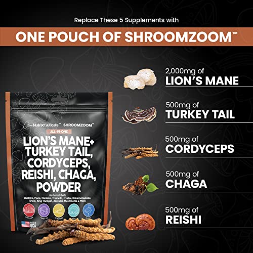 Mushroom Powder Complex Supplement with Lions Mane Mushrooms Turkey Tail Extract Cordyceps Chaga Reishi Maitake Meshima Poria Shiitake Porcini Enoki - Organic Mushroom Blend Mix - Made in USA