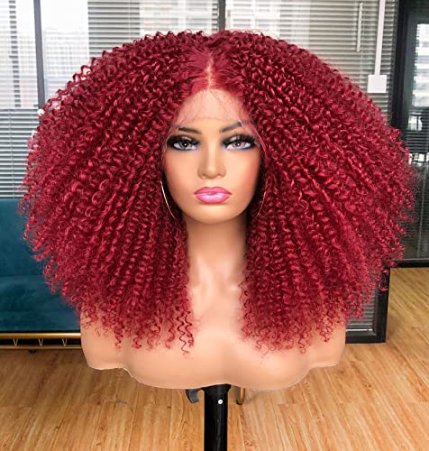 Annivia Curly Lace Front Wig Pre Plucked Kinky Curly Afro Wigs for Black  Women 13x4 x1 HD T Part Lace Frontal Wig Long Curly Glueless Synthetic Lace