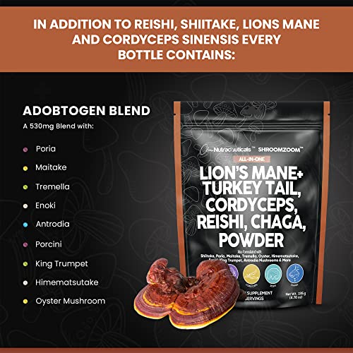 Mushroom Powder Complex Supplement with Lions Mane Mushrooms Turkey Tail Extract Cordyceps Chaga Reishi Maitake Meshima Poria Shiitake Porcini Enoki - Organic Mushroom Blend Mix - Made in USA