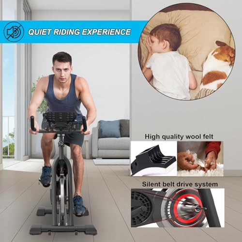 GOFLYSHINE Exercise Bikes Stationary,Exercise Bike for Home Indoor Cycling Bike for Home Cardio Gym,Workout Bike with Ipad Mount & LCD Monitor,Silent Belt Drive