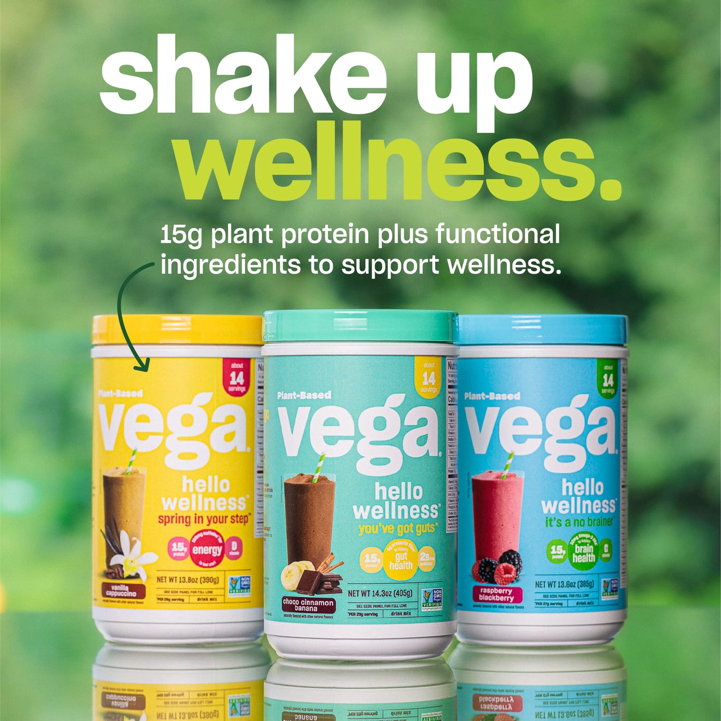 Vega Hello Wellness You’ve Got Guts Blender Free Smoothie, Choco Cinnamon Banana - Plant Based Vegan Protein Powder, 5g Prebiotic Fiber, 0g Added Sugar, 14.3 oz (Packaging May Vary)