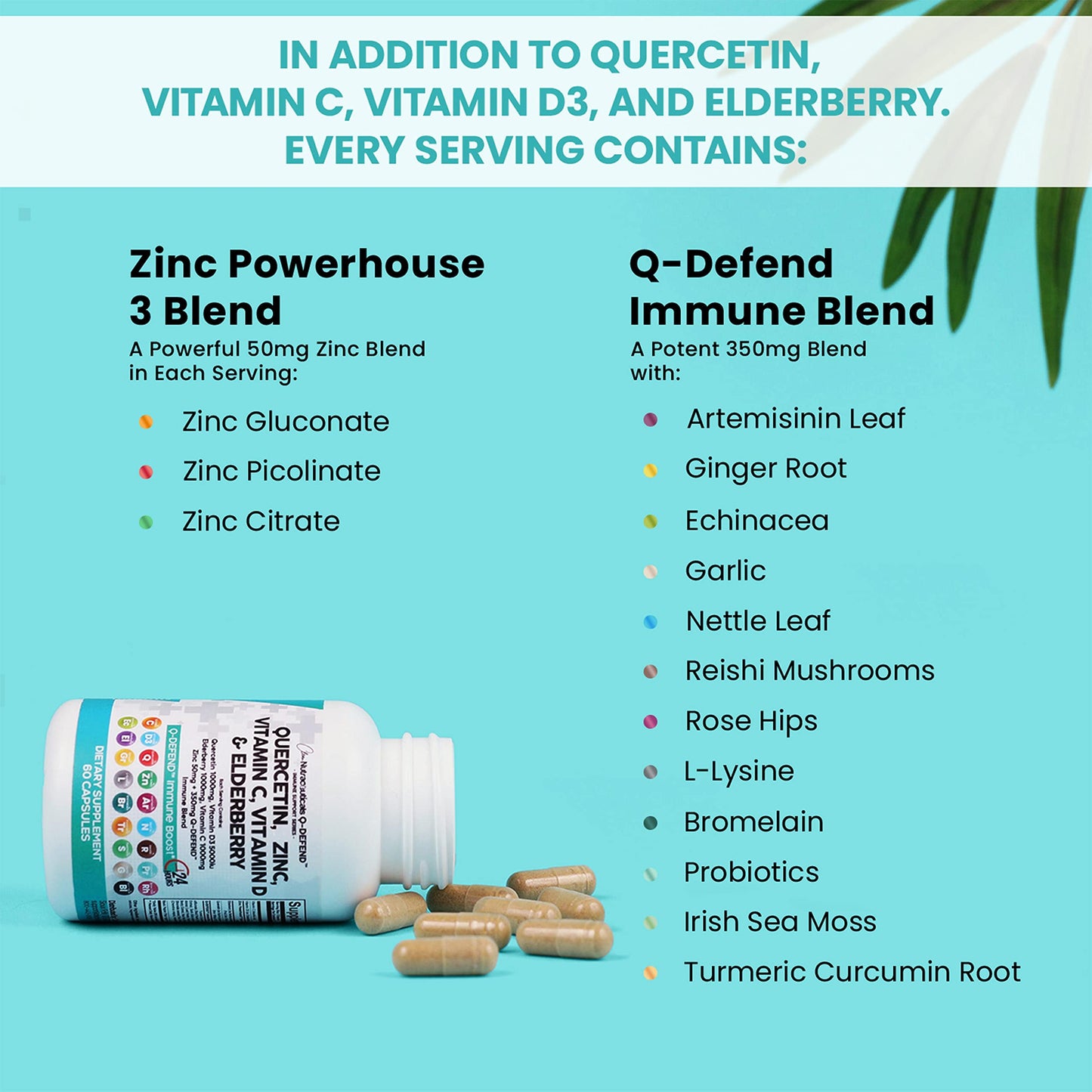 Quercetin 1000mg Zinc 50mg Vitamin C 1000mg Vitamin D 5000 IU Bromelain Elderberry - Lung Immune Defense Support Supplement Adults with Artemisinin, Sea Moss, Echinacea, Garlic Immunity Allergy Relief