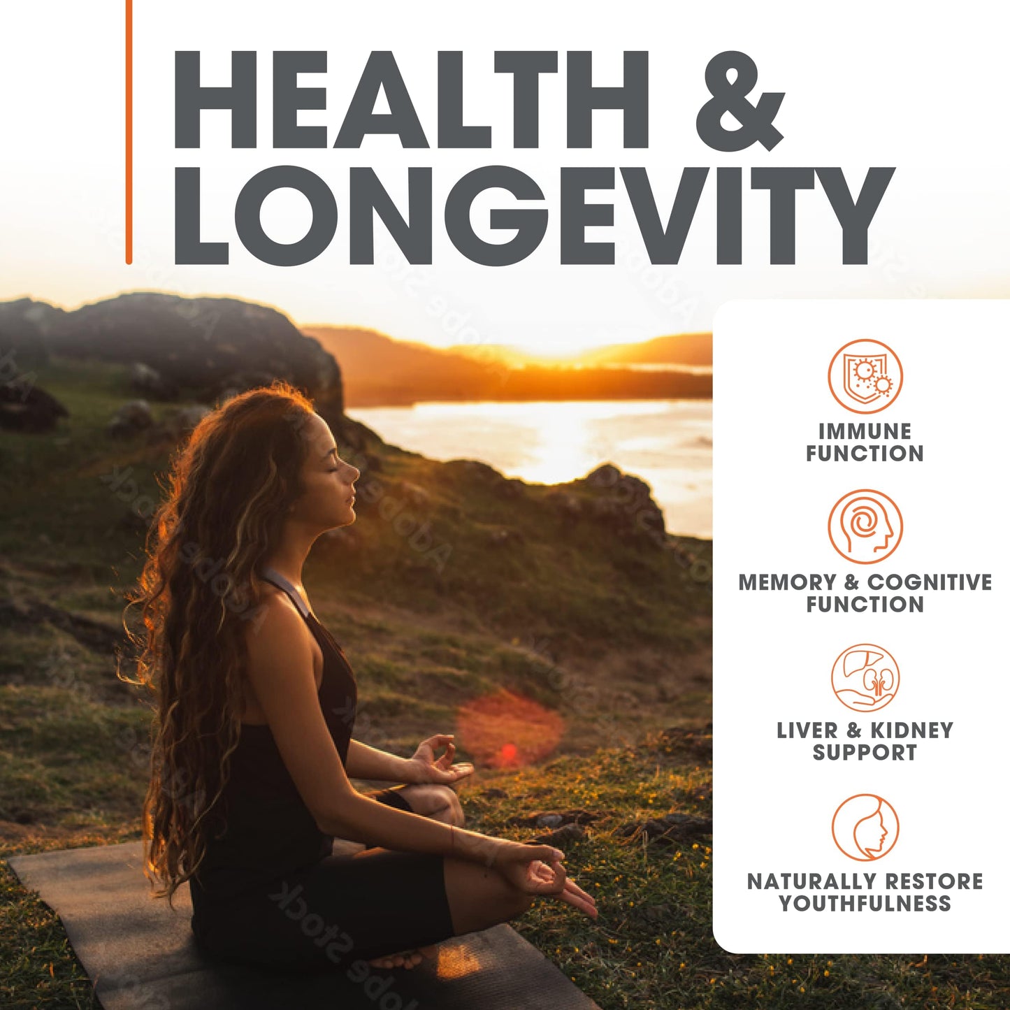 Genius Mushroom - Lions Mane, Cordyceps and Reishi - Immune System Booster & Nootropic Brain Supplement - for Natural Energy, Memory & Liver Support, 90 Veggie Pills