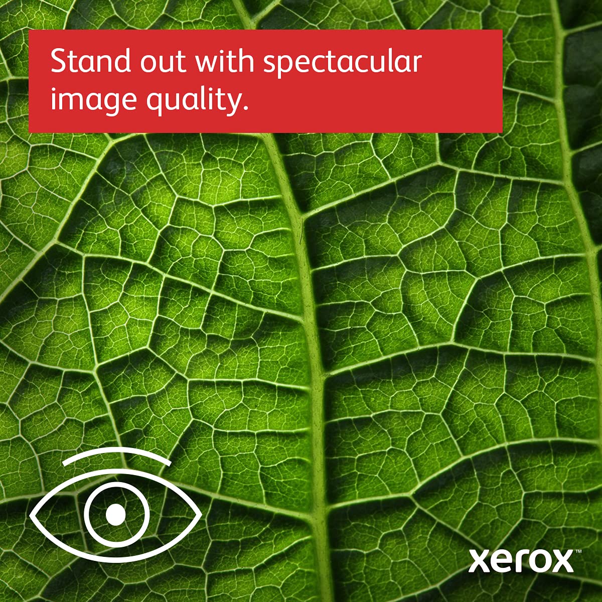 Xerox C235/DNI Color Multifunction Printer, Print/Scan/Copy/Fax, Laser, Wireless, All in One