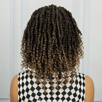 Braids Wig Curly Braids Wig Synthetic Lace Wig Beginners Friendly Heat Resistant Wig For Women