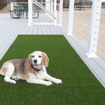 Pregra Artificial Pet Turf
