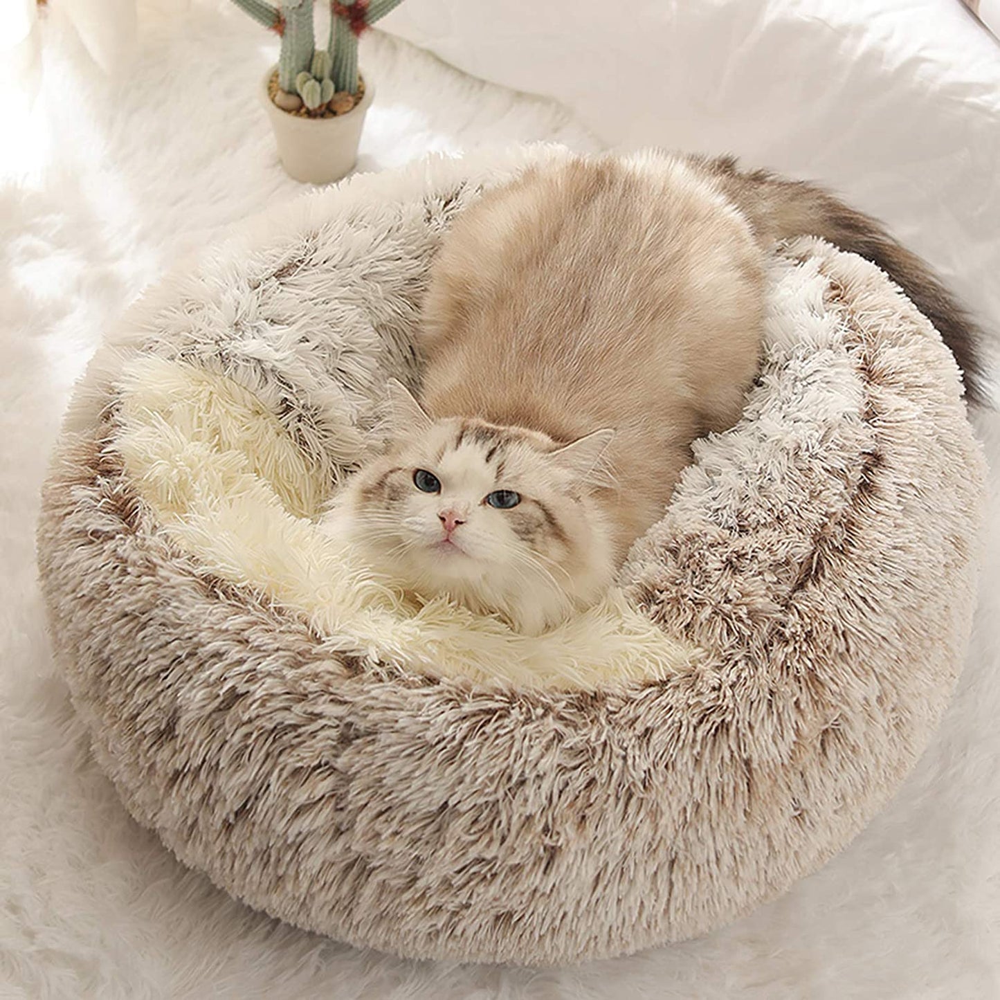 2 in 1 Round Warm Pet Bed House Polyester Cat Bed, Long Plush, Winter, with Sleeping Bag Sofa Cushion for Cat
