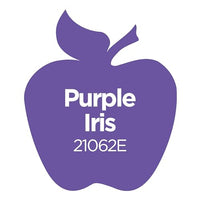 Apple Barrel Acrylic Paint in Assorted Colors (8 Ounce), Purple Iris
