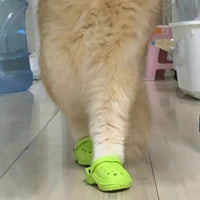 2pcs/set Pet Breathable And Comfortable Cat Shoes, Cute Puppy Sandals, Candy Color, Summer Outdoor Anti-slip, Anti-scratch, Durable Bite Dog Boots For Small Cats And Dogs Gifts Supplies