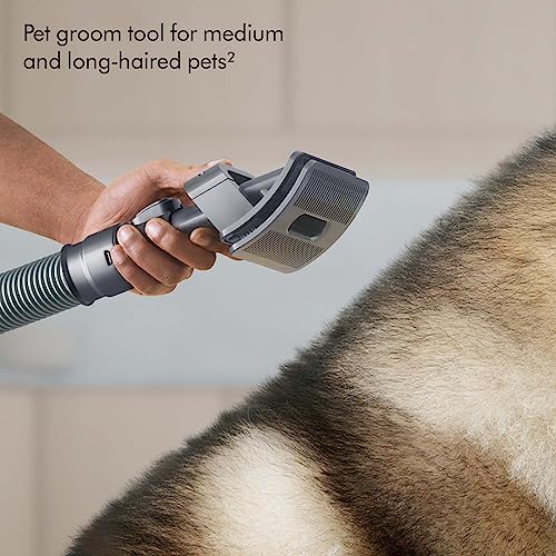 Dyson Ball Animal 3 Extra Upright Vacuum Cleaner