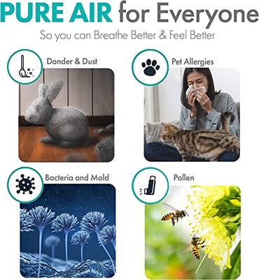 Alen FLEX Air Purifier, Quiet Air Flow for Large Rooms, 700 SqFt, Air Cleaner for Allergens, Dust, Mold, Pet Odors with Long Filter Life