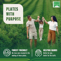 VIVOSPROUT Disposable Compostable Paper Plates 9 Inch [125-Pack], Heavy Duty, Eco-Friendly made with Biodegradable Bagasse for Parties and Picinic, (Natural-Brown)