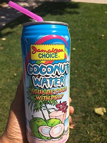 Coconut Water NO Pulp by Jamaican Choice (6 Aluminum cans) 16.9 fl.oz