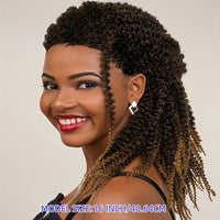 Braids Wig Curly Braids Wig Synthetic Lace Wig Beginners Friendly Heat Resistant Wig For Women
