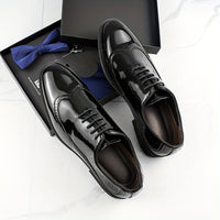 Men's Trendy Color Bock Wingtip Oxford Shoes, Comfy Non Slip Durable Lace Up Elegant Formal Shoes, Men's Footwear