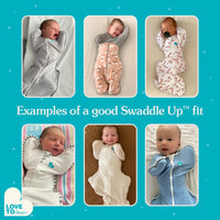 Love to Dream Swaddle UP, Baby Sleep Sack, Self-Soothing Swaddles for Newborns, Get Longer Sleep, Snug Fit Helps Calm Startle Reflex, New Born Essentials for Baby, 13-19 lbs, Dreamer