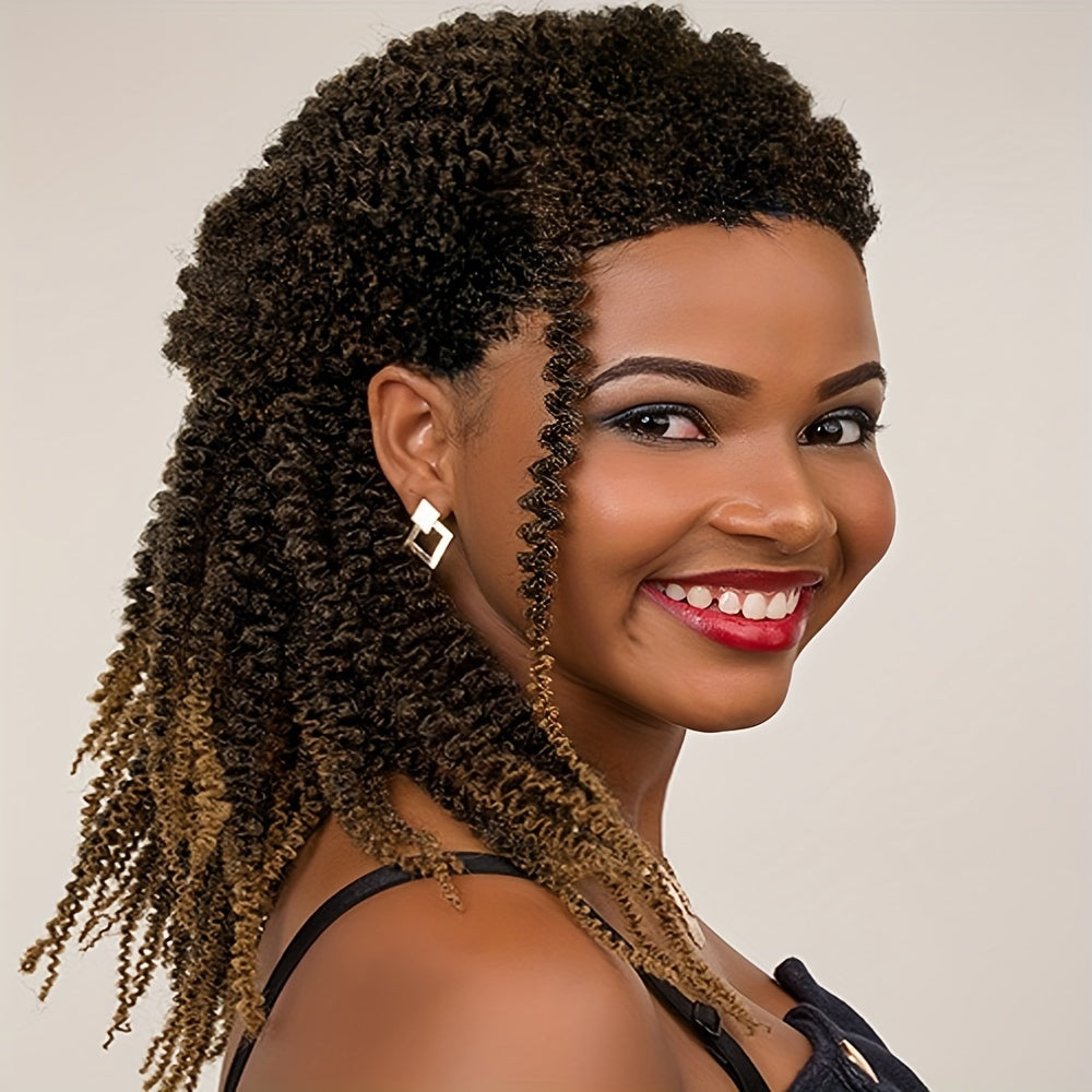 Braids Wig Curly Braids Wig Synthetic Lace Wig Beginners Friendly Heat Resistant Wig For Women