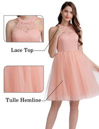 Dressystar Short Halter Prom Ball Gown Lace Tulle Evening Homecoming Dress 0068 Blush L