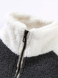 Warm Plush Fleece Jacket, Men's Casual Color Block Stand Collar Jacket Coat For Fall Winter