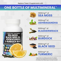 Clean Nutra Sea Moss, Black Seed Oil, Ashwagandha & Burdock Root