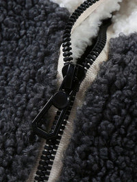 Warm Plush Fleece Jacket, Men's Casual Color Block Stand Collar Jacket Coat For Fall Winter