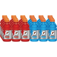 Gatorade Thirst Quencher, Fruit Punch and Cool Blue Variety Pack, 12 Ounce (Pack of 24)