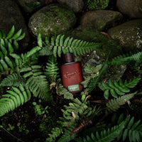 Dr. Squatch Men's Cologne Rainforest Mist - Natural Cologne Made With Sustainably-Sourced Ingredients - Manly Fragrance of Eucalyptus, Bergamot, and Cedarwood - Inspired by Rainforest Rapids Bar Soap