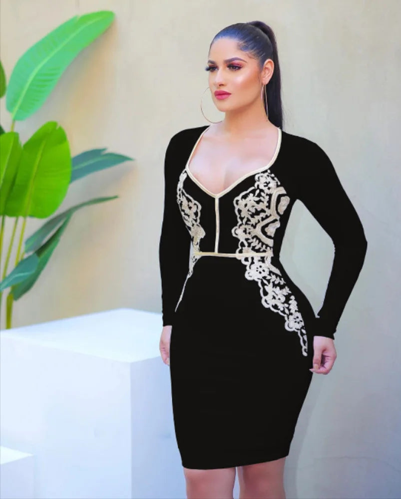 Sexy Women V-Neck Long Sleeve Bodycon Lace Party Dress Office Lady Ban –  Mega Mart Center