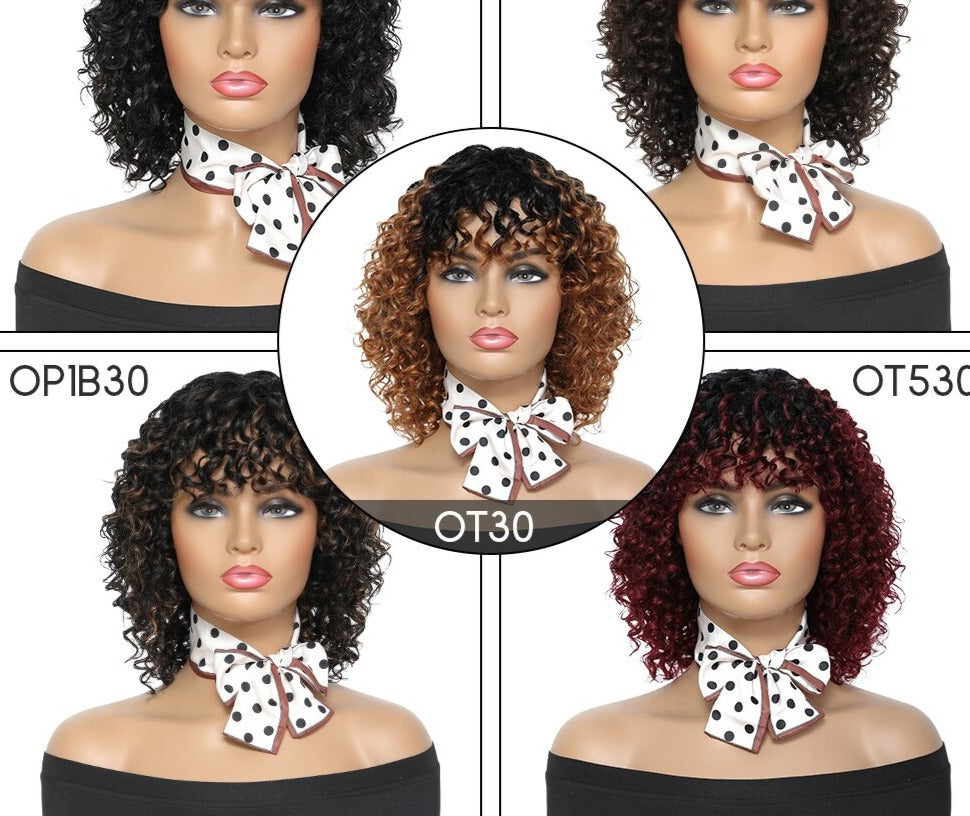 Afro Curly Wig Human Hair Full Wig 100% Real Hair Afro Curls Wigs For Black Highlight Women