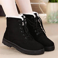 Snow Boots Women Classic Faux Suede Winter Women Boots Warm Plush Female Ankle Boots Hot Women Shoes Lace-up Shoes Woman WSH2461