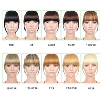 Leeons Short Synthetic Bangs Heat Resistant Hairpieces Hair Women Natural Short Fake Hair Bangs Hair Clips For Extensions Black