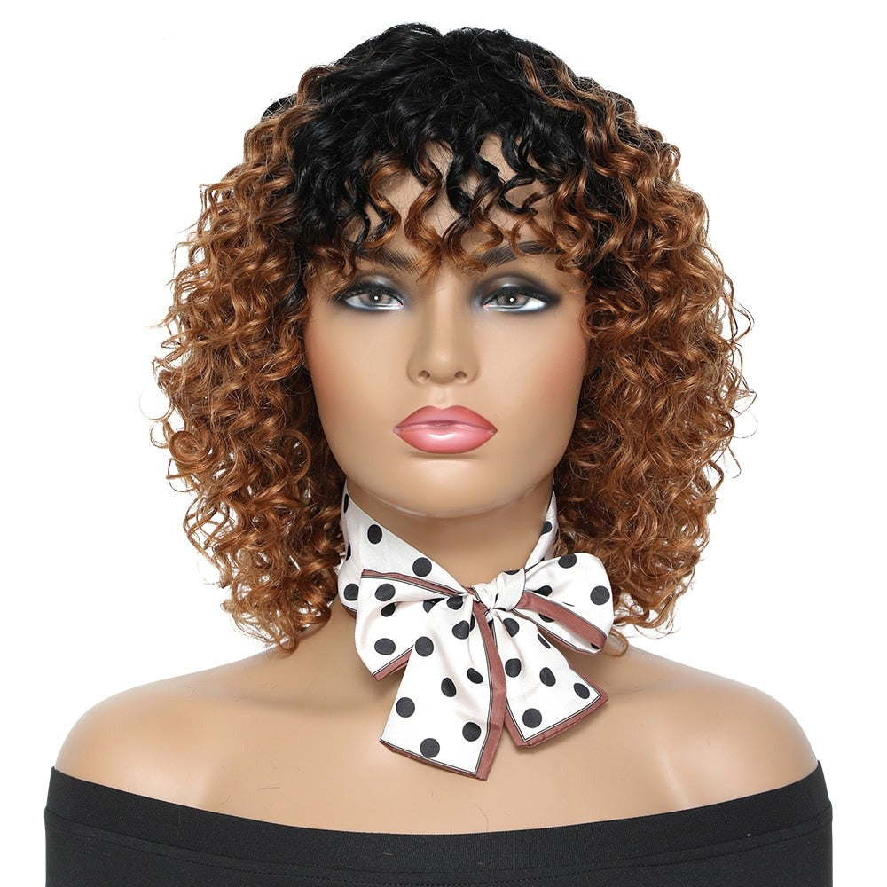 Afro Curly Wig Human Hair Full Wig 100% Real Hair Afro Curls Wigs For Black Highlight Women