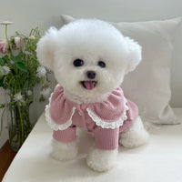 Pet Clothes Fall and Winter New Arrival Lace Lace Button Knitting Cardigan Teddy Bichon Dog Cat Heattech Outwear