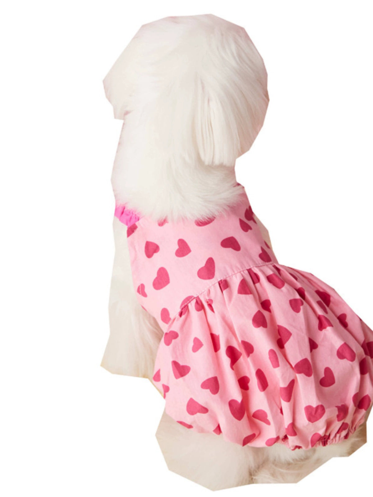 Summer Puppy Dog Suspender Dress Cute Schnauzer Vest
